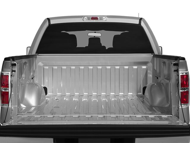 2013 Ford F-150 XLT Oshkosh WI