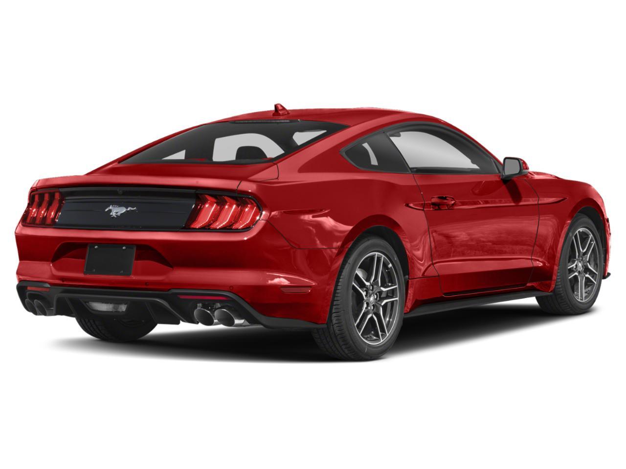 2023 Ford Mustang EcoBoost Premium 2023 Ford Mustang EcoBoost Premium