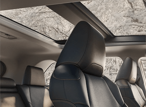 Panoramic Glass Roof Panoramic Glass Roof