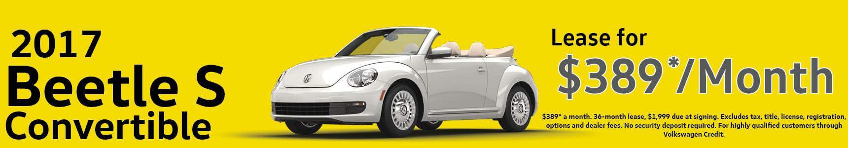 Beetle S Beetle S