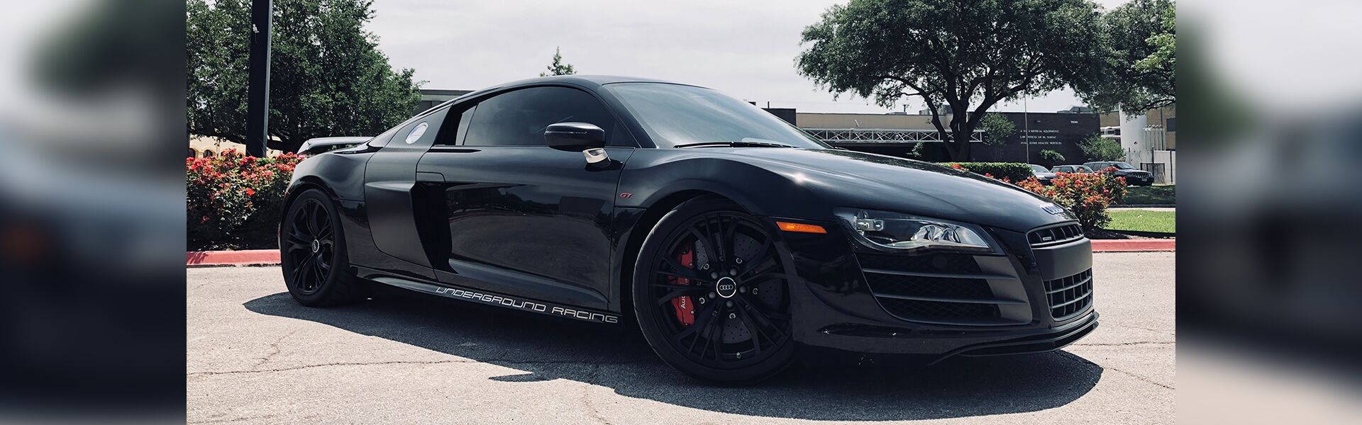 r8 r8