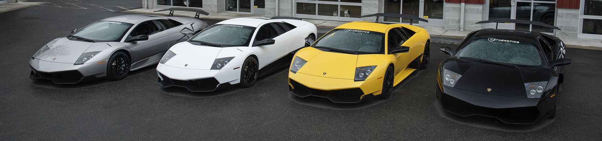 Murci Lineup Murci Lineup