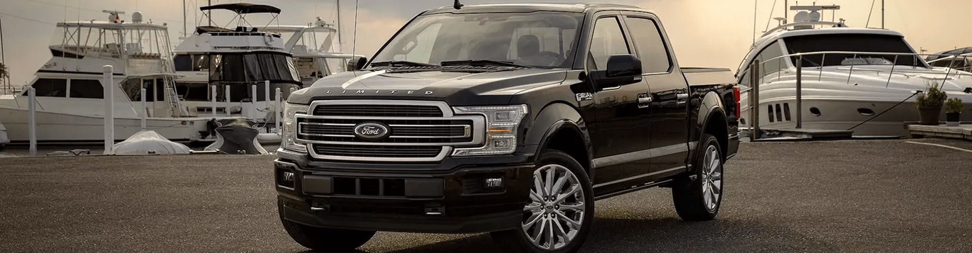 All New 2019 F150