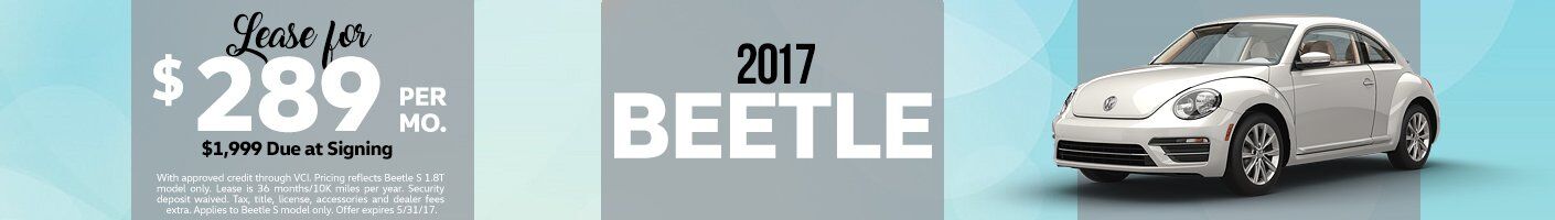beetle beetle