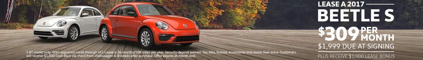 beetle beetle