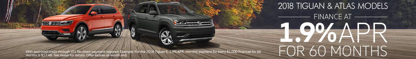 tiguan tiguan