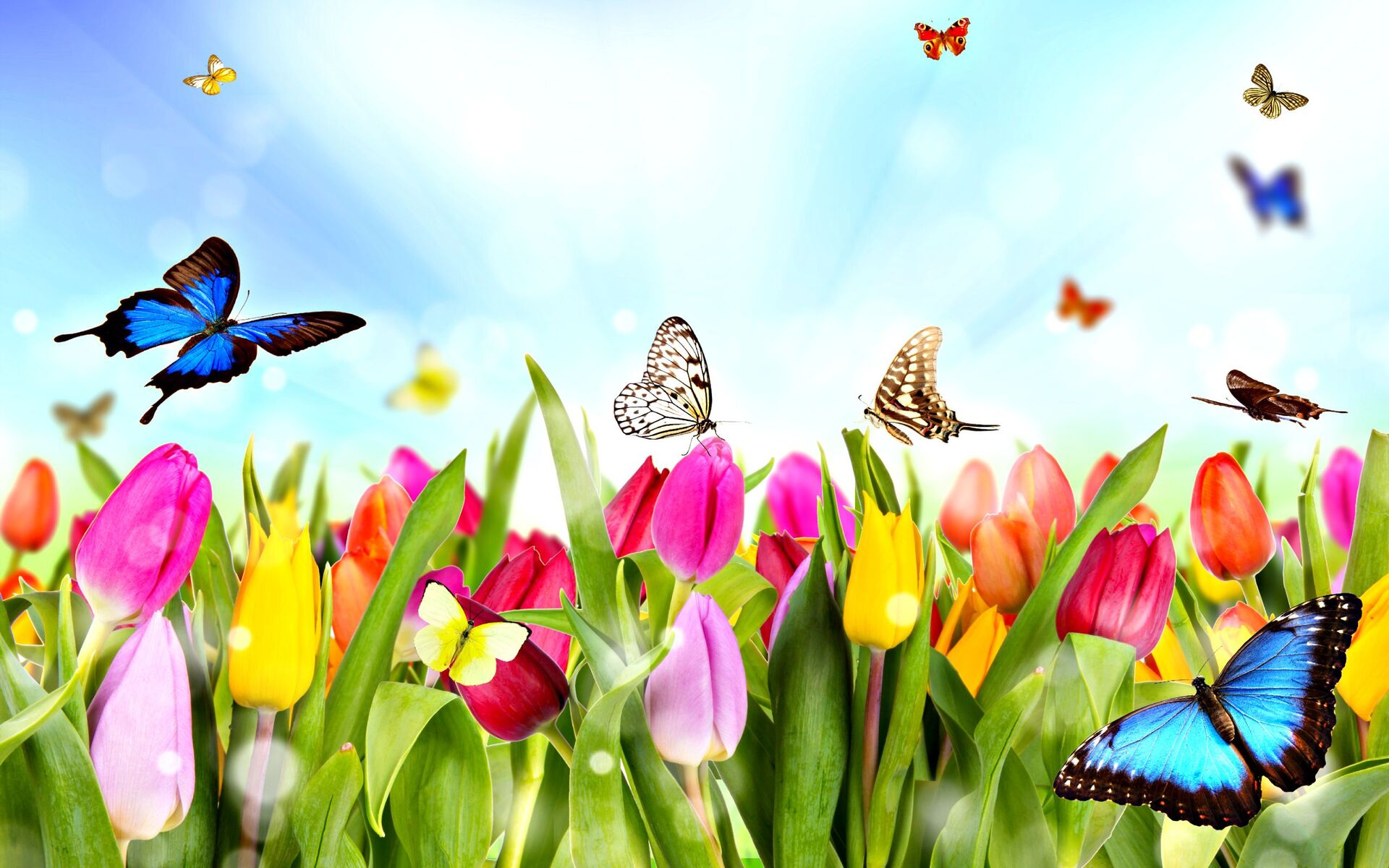 Spring Into... Savings Event Spring Into... Savings Event