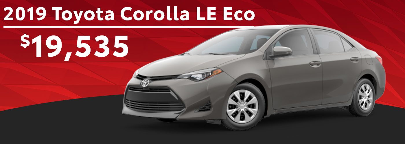LE Eco LE Eco