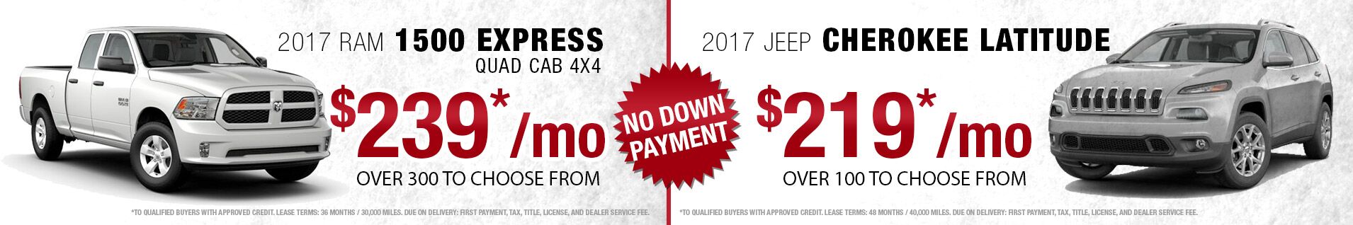 Palmen racine coupons