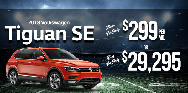 2018 Tiguan SE 2018 Tiguan SE