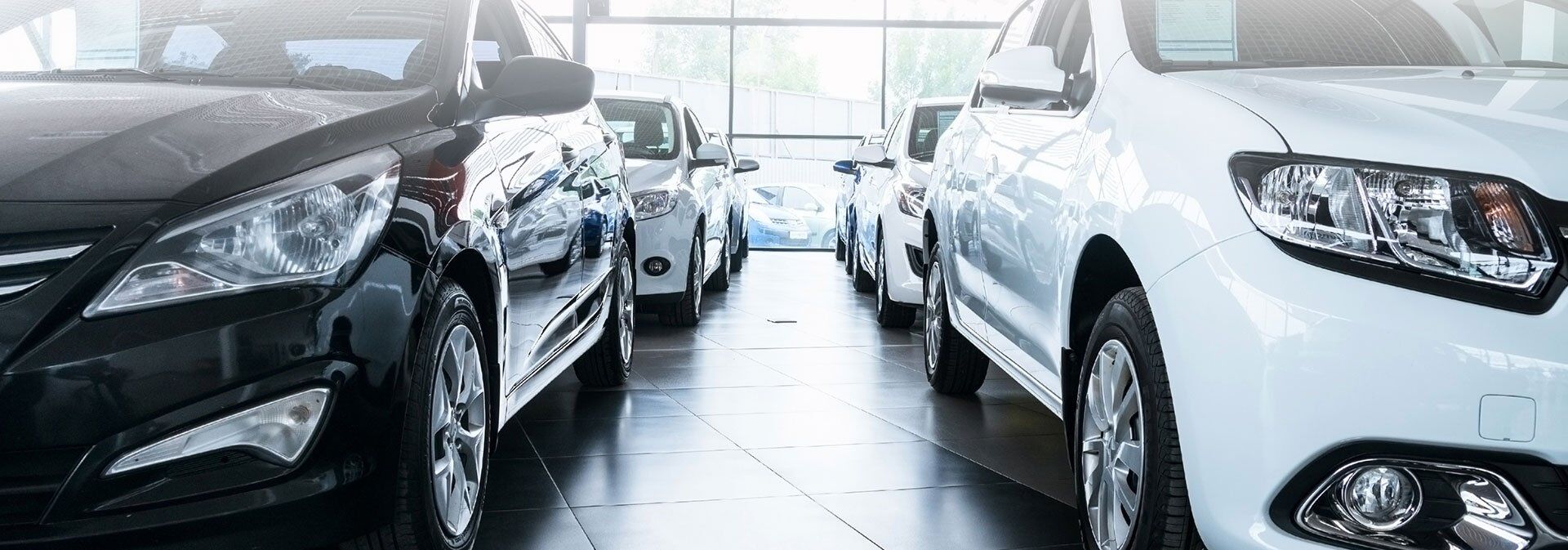 Dealership Harlingen TX Used Cars Payne PreOwned Harlingen