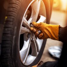 $129.95 Spring Service Special $129.95 Spring Service Special