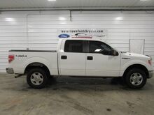 2014 Ford F-150 Super Crew 4x4 2014 Ford F-150 Super Crew 4x4