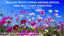 Spring Special Spring Special