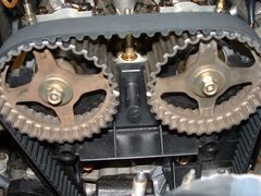 SERVICE TIMING BELT SPECIAL SERVICE TIMING BELT SPECIAL
