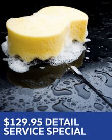 $129.95 Detail Special – Volkswagen $129.95 Detail Special – Volkswagen
