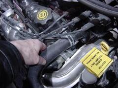 $30.00 off Hose Replacement* $30.00 off Hose Replacement*