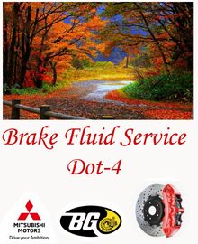 BRAKE FLUID SERVICE BRAKE FLUID SERVICE