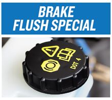 Brake Flush Brake Flush