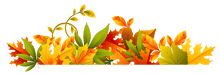 Fall Into Savings at Mike Miller KIA Fall Into Savings at Mike Miller KIA