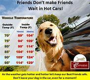 REMEMBER YOUR PETS REMEMBER YOUR PETS