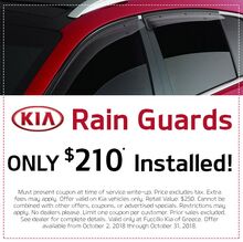 Rain Guards Rain Guards