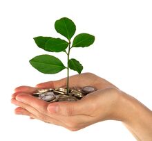 Savings That Grow Savings That Grow
