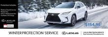 Winter Protection Service Winter Protection Service