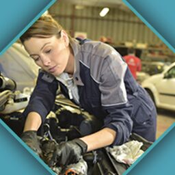 The Works Package: Oil Change/ Tire Rotation/ Multi-Point In The Works Package: Oil Change/ Tire Rotation/ Multi-Point In