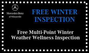 Free Multi-Point Winter Weather Wellness Inspection Free Multi-Point Winter Weather Wellness Inspection