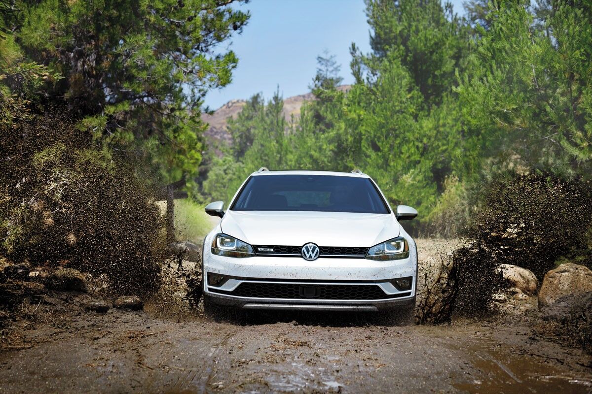 Carpe dirt. Carpe dirt.