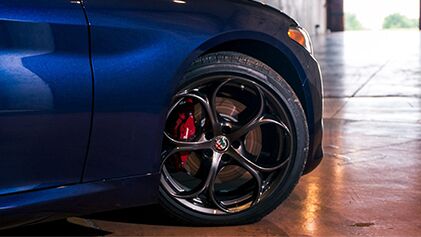 Performance Perfection Performance Perfection