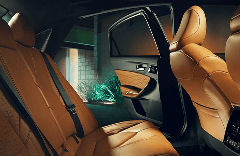 Avalon Limited interior Avalon Limited interior