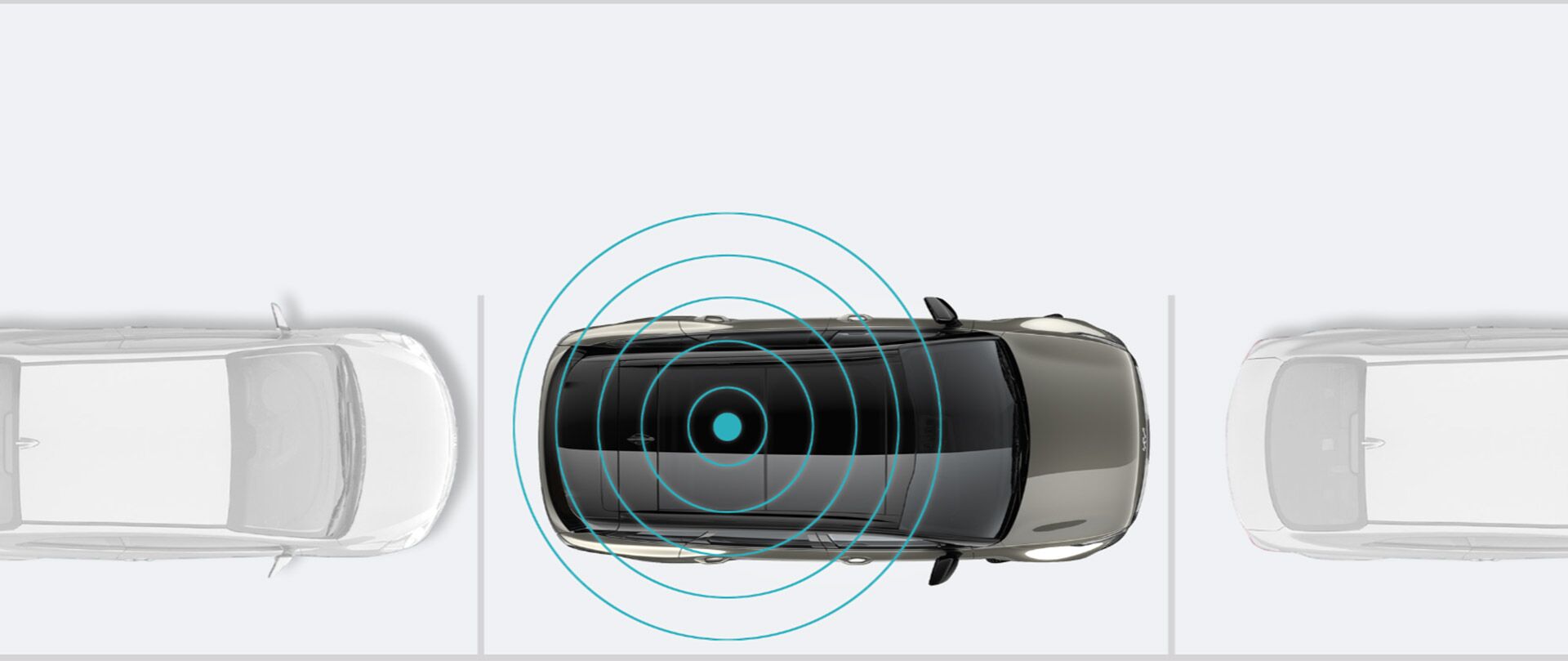 Park Distance Warning-Rear