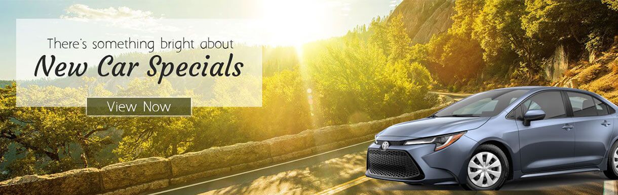 Vehicle Specials