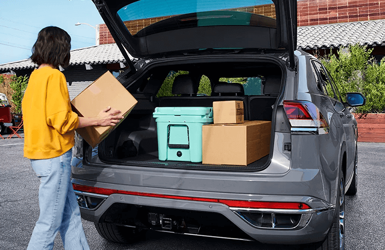 Volkswagen Term Protection