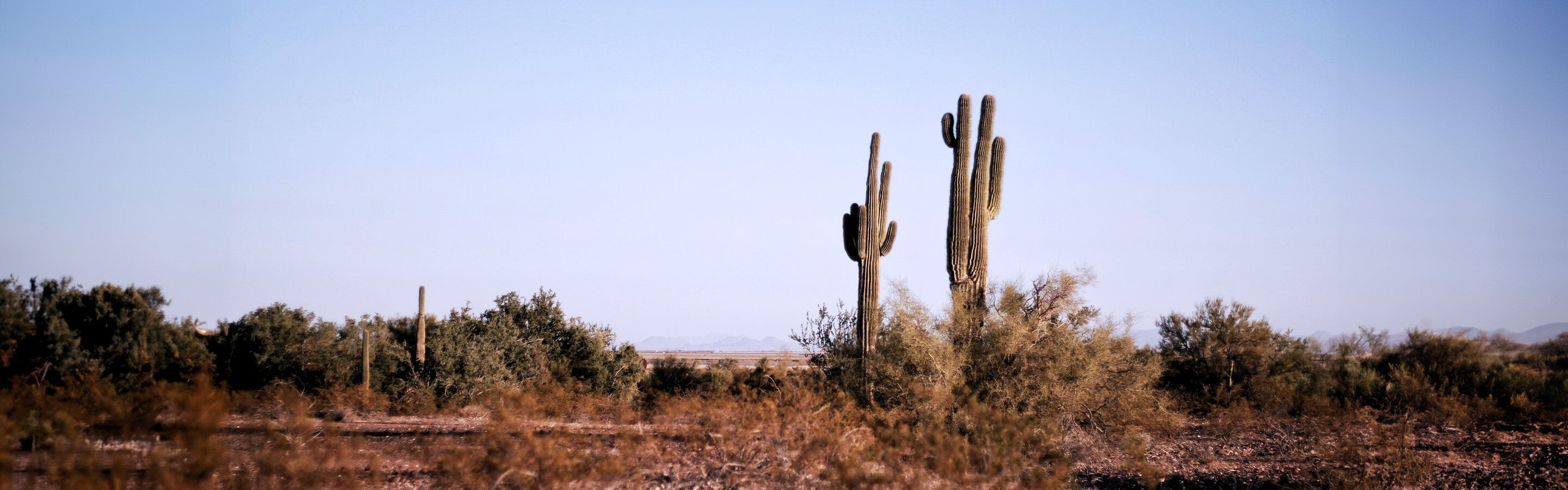 Car Dealership in , TX