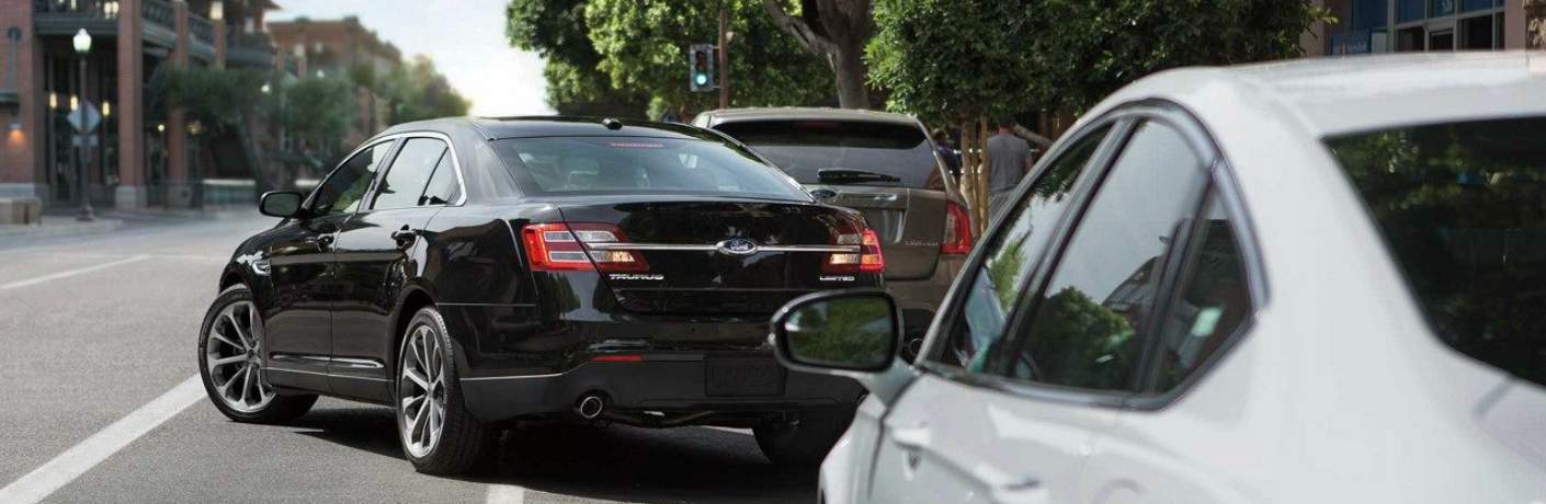 Image Slide Image Slide