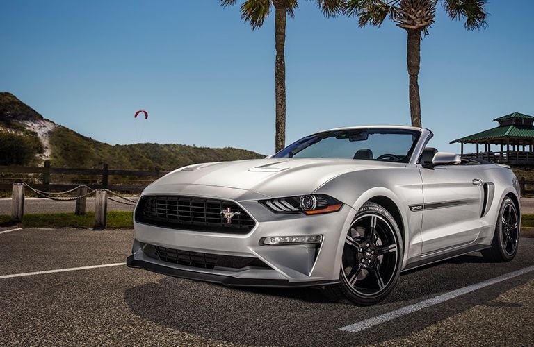 Image Slide Image Slide