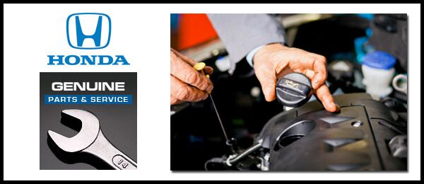 Honda Dealership Jackson Ms >> The Patty Peck Honda Promise Jackson Ms Area Car Dealer Honda Dealership Jackson Ms >> The Patty Peck Honda Promise Jackson Ms Area Car Dealer