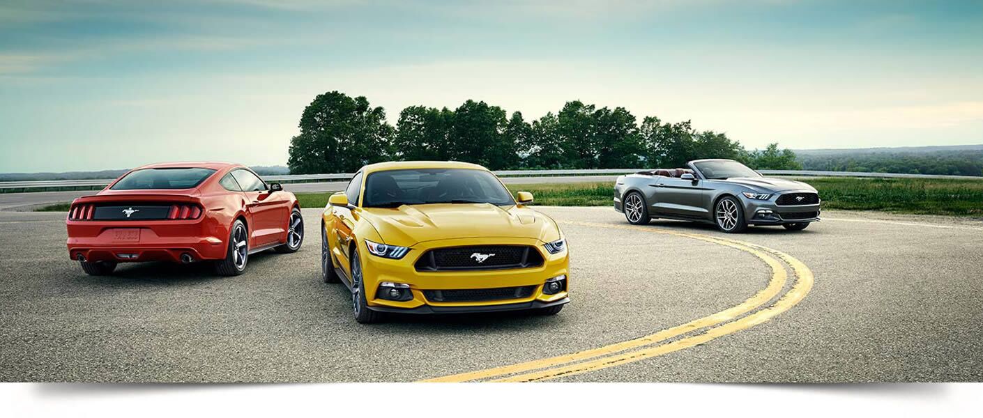 About Rodman Ford