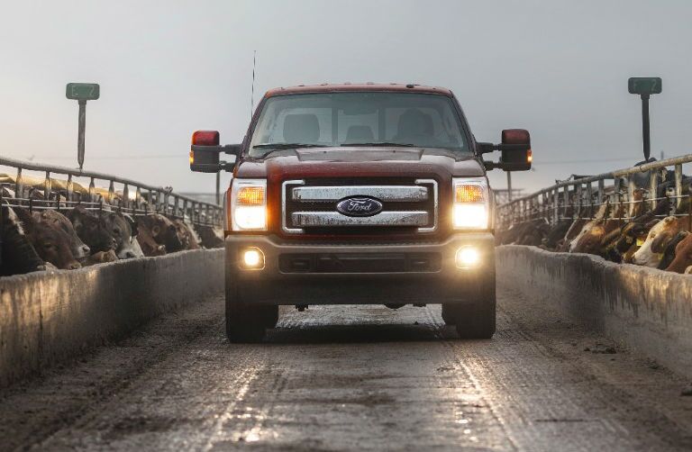 Ford Fleet commercial work truck Tampa FL Farming