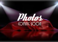 2014 Mercedes-Benz M-Class ML 350 Montgomery AL 2014 Mercedes-Benz M-Class ML 350 Montgomery AL