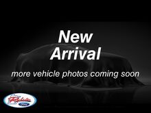 2014 Ford F-250SD Platinum w/ Heated & Cooled Seats Rochester MN 2014 Ford F-250SD Platinum w/ Heated & Cooled Seats Rochester MN