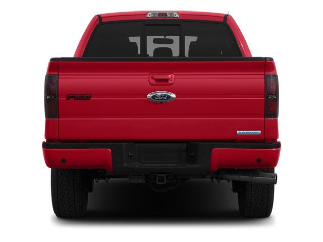 2013 Ford F-150 FX4 Appleton WI