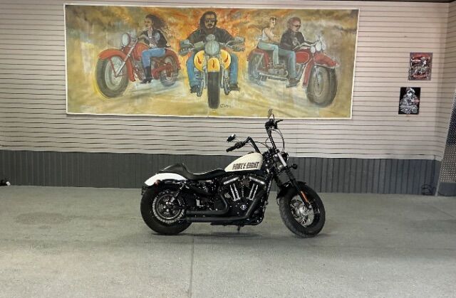2014 Harley-Davidson XL1200X -