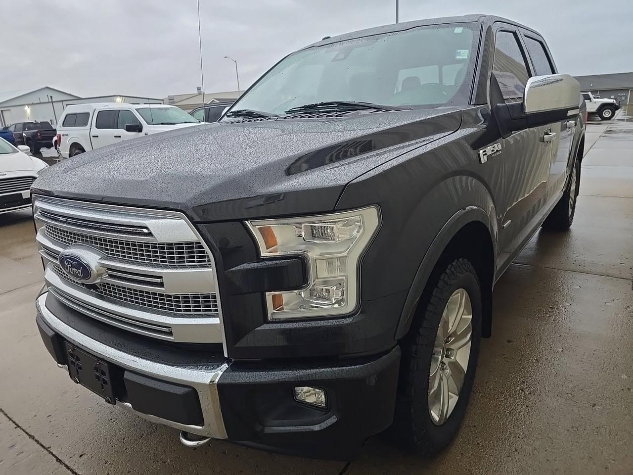 2015 Ford F-150 Platinum Watertown SD 2015 Ford F-150 Platinum Watertown SD