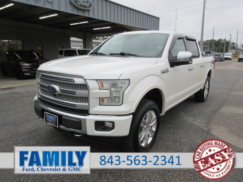2017 Ford F-150 Platinum St. George SC 2017 Ford F-150 Platinum St. George SC
