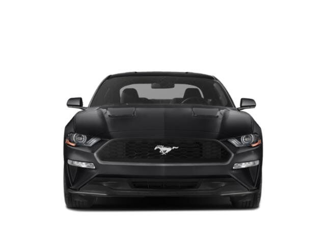 2019 Ford Mustang EcoBoost Appleton WI