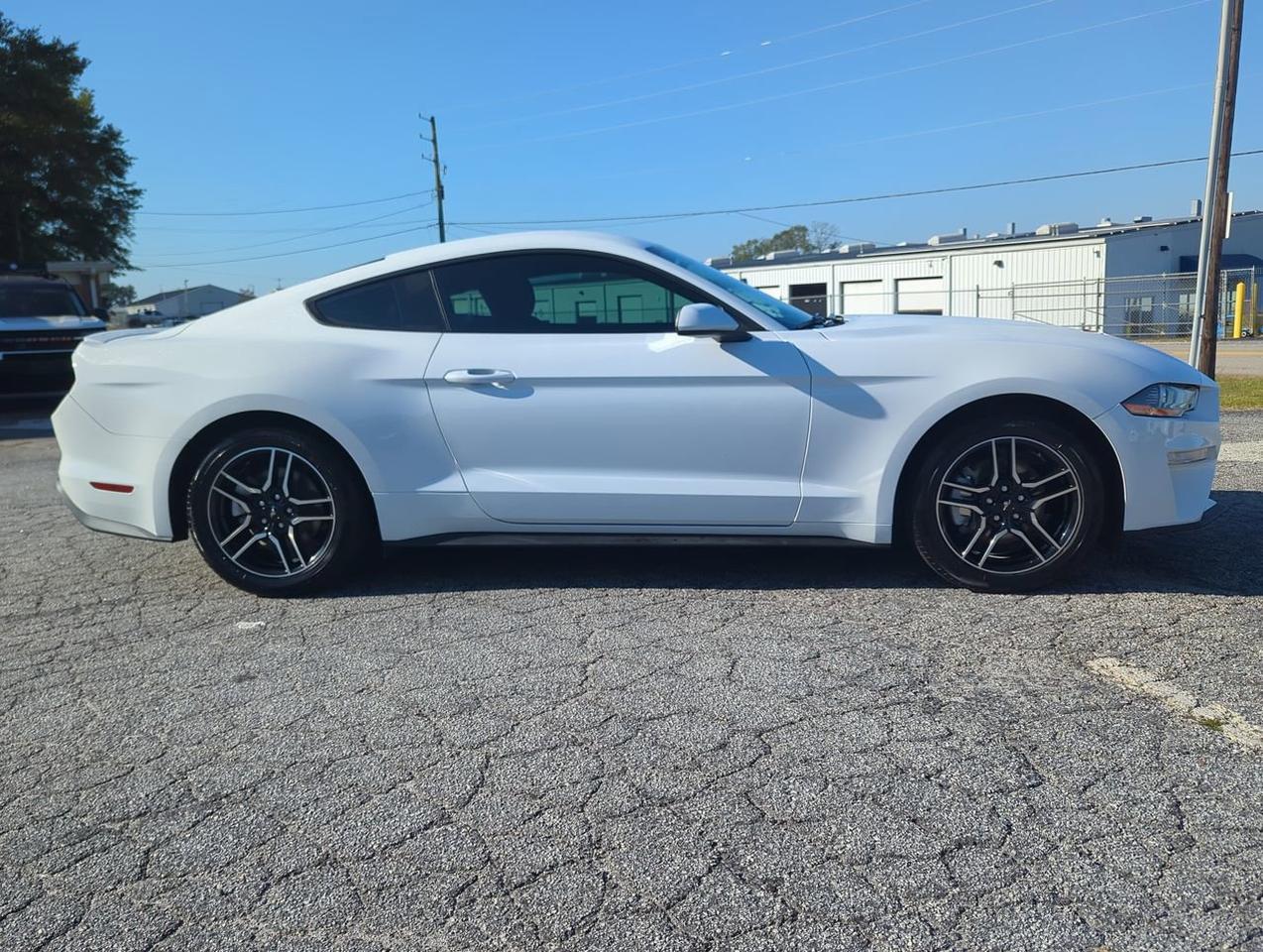2019 Ford Mustang EcoBoost Appleton WI 2019 Ford Mustang EcoBoost Appleton WI